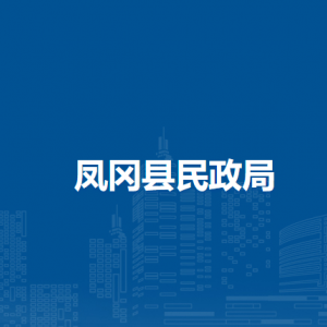 鳳岡縣民政局社會事務和慈善福利股(社會救助和養(yǎng)老服務股)