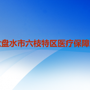 六盤水市六枝特區(qū)醫(yī)療保障局各部門職責及聯(lián)系電話