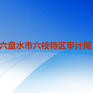 六盤(pán)水市六枝特區(qū)審計(jì)局各部門(mén)職責(zé)及聯(lián)系電話(huà)