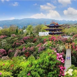 大方縣各鄉(xiāng)鎮(zhèn)政府（街道辦事處）工作時間和聯(lián)系電話