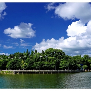 安順市西秀區(qū)政府各職能部門地址工作時間和聯(lián)系電話