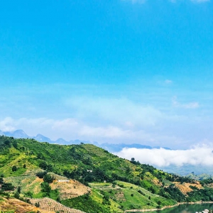 鎮(zhèn)寧自治縣各鄉(xiāng)鎮(zhèn)政府（街道辦事處）工作時間和聯(lián)系電話