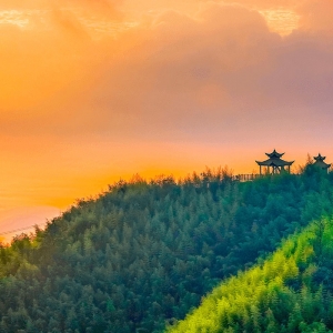 盤州市各鄉(xiāng)鎮(zhèn)政府（街道辦事處）聯(lián)系電話