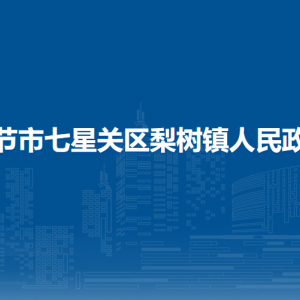 畢節(jié)市七星關區(qū)梨樹鎮(zhèn)黨務政務服務中心
