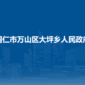 銅仁市萬山區(qū)大坪鄉(xiāng)?黨務政務綜合服務中心(便民服務中心)