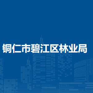 銅仁市碧江區(qū)林業(yè)局各部門負(fù)責(zé)人及聯(lián)系電話