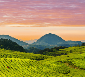 石阡縣政府各職能部門地址工作時間和聯(lián)系電話