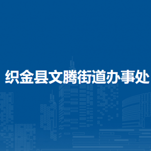 織金縣文騰街道辦事處黨群服務(wù)中心（黨務(wù)政務(wù)綜合服務(wù)中心）