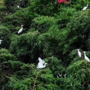 印江縣政府各職能部門地址工作時間和聯(lián)系電話