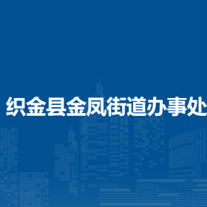 織金縣金鳳街道辦事處黨務(wù)政務(wù)服務(wù)中心