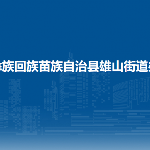 威寧縣雄山街道辦事處?黨務(wù)政務(wù)服務(wù)中心