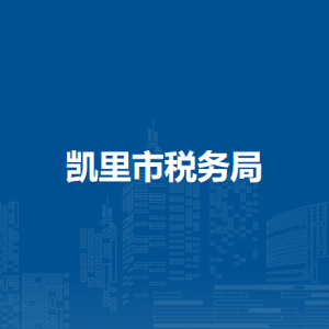 凱里市稅務(wù)局辦稅服務(wù)廳辦公時(shí)間地址及納稅咨詢電話