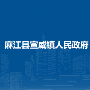 麻江縣宣威鎮(zhèn)?政務(wù)服務(wù)中心