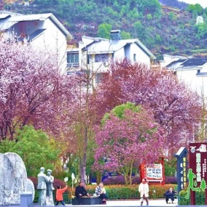 鎮(zhèn)遠縣各鄉(xiāng)鎮(zhèn)政府工作時間和聯(lián)系電話