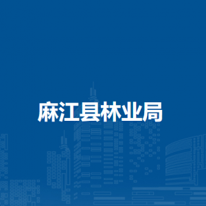 麻江縣林業(yè)局各部門負(fù)責(zé)人及聯(lián)系電話