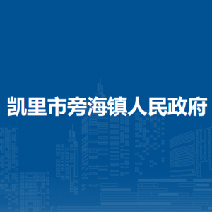 凱里市旁海鎮(zhèn)政府?黨務政務服務中心（退役軍人服務站）