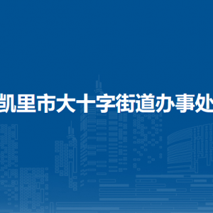 凱里市大十字街道辦事處?黨務(wù)政務(wù)服務(wù)中心（退役軍人服務(wù)站）