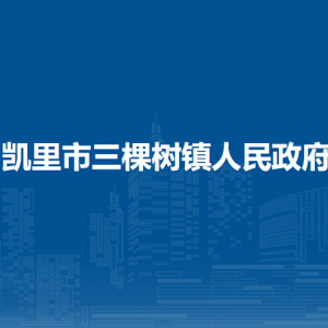 凱里市三棵樹鎮(zhèn)政府黨務(wù)政務(wù)服務(wù)中心（退役軍人服務(wù)站）