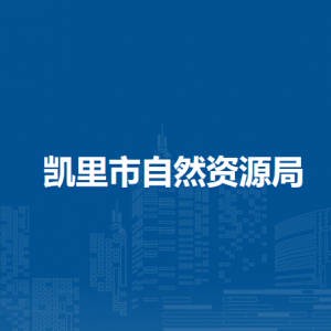 凱里市土地勘測(cè)規(guī)劃服務(wù)站