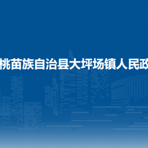 松桃苗族自治縣大坪場鎮(zhèn)?黨務(wù)政務(wù)綜合服務(wù)中心
