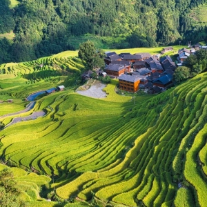 從江縣各鄉(xiāng)鎮(zhèn)政府（街道辦事處）工作時(shí)間和聯(lián)系電話