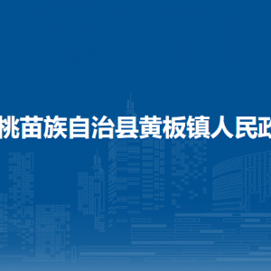 松桃縣黃板鎮(zhèn)?黨務(wù)政務(wù)服務(wù)中心