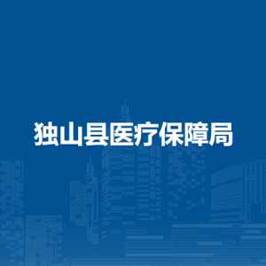 獨(dú)山縣醫(yī)療保障局醫(yī)療保險(xiǎn)服務(wù)中心綜合科