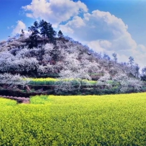 貴定縣各鄉(xiāng)鎮(zhèn)政府街道辦事處工作時(shí)間和聯(lián)系電話