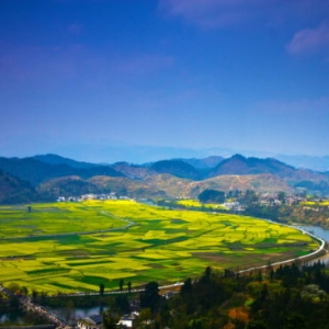 貴定縣政府各職能部門地址工作時間和聯(lián)系電話