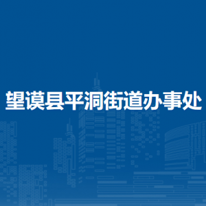 望謨縣平洞街道辦事處黨務(wù)政務(wù)服務(wù)中心