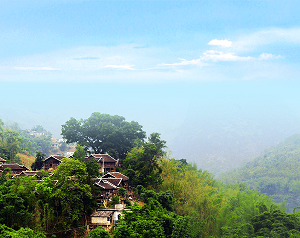 安龍縣政府各職能部門地址工作時(shí)間和聯(lián)系電話