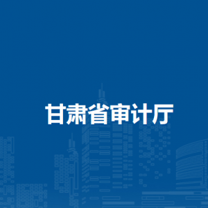 甘肅省審計(jì)廳指導(dǎo)監(jiān)督處