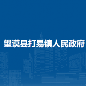 望謨縣打易鎮(zhèn)各部門負(fù)責(zé)人及聯(lián)系電話