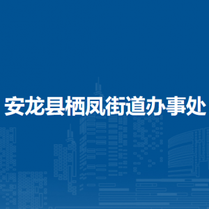 安龍縣棲鳳街道辦事處各部門負(fù)責(zé)人及聯(lián)系電話