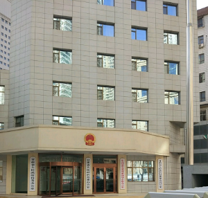 駐埃及使館提醒中國(guó)公民盡量避免自駕車(chē)輛出行