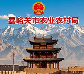 嘉峪關(guān)市農(nóng)業(yè)農(nóng)村局領(lǐng)導(dǎo)班子主要成員信息