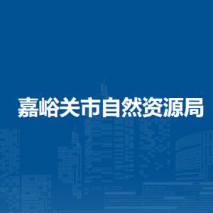 嘉峪關(guān)市自然資源局主要領(lǐng)導(dǎo)班子成員信息