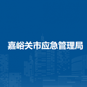 嘉峪關(guān)市應(yīng)急管理局危險化學(xué)品安全監(jiān)督管理科