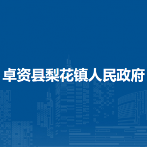 卓資縣梨花鎮(zhèn)政府各職能部門(mén)負(fù)責(zé)人及聯(lián)系電話