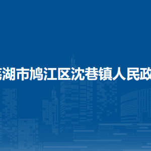 蕪湖市鳩江區(qū)沈巷鎮(zhèn)退役軍人服務(wù)站