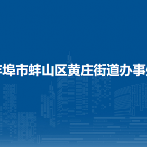 蚌埠市蚌山區(qū)黃莊街道綜合執(zhí)法隊