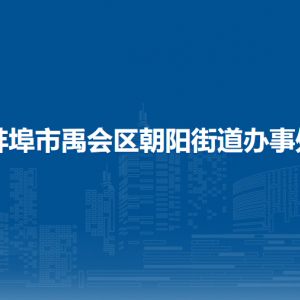 蚌埠市禹會(huì)區(qū)朝陽(yáng)街道綜合執(zhí)法隊(duì)