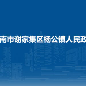 淮南市謝家集區(qū)楊公鎮(zhèn)?平安法治服務中心