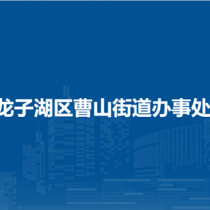 蚌埠市龍子湖區(qū)曹山街道就業(yè)和社會保障事務所