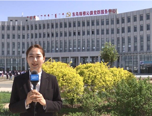 東烏珠穆沁旗政務服務中心各辦事窗口工作時間和咨詢電話