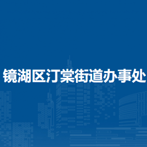 蕪湖市鏡湖區(qū)汀棠街道便民服務(wù)中心（退役軍人服務(wù)站）