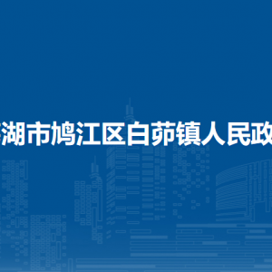 蕪湖市鳩江區(qū)白茆鎮(zhèn)黨政綜合辦公室