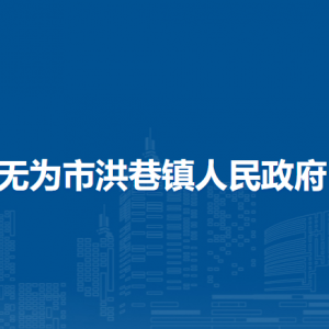 無(wú)為市洪巷鎮(zhèn)綜合行政執(zhí)法大隊(duì)