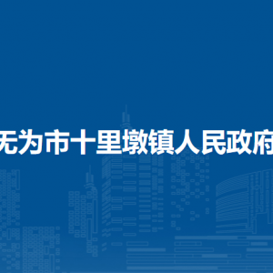 無(wú)為市十里墩鎮(zhèn)綜合行政執(zhí)法大隊(duì)