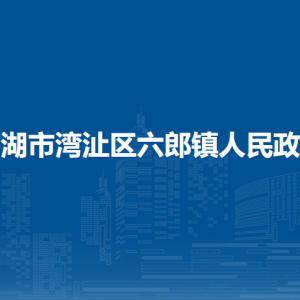 蕪湖市灣沚區(qū)六郎鎮(zhèn)綜合行政執(zhí)法大隊(duì)
